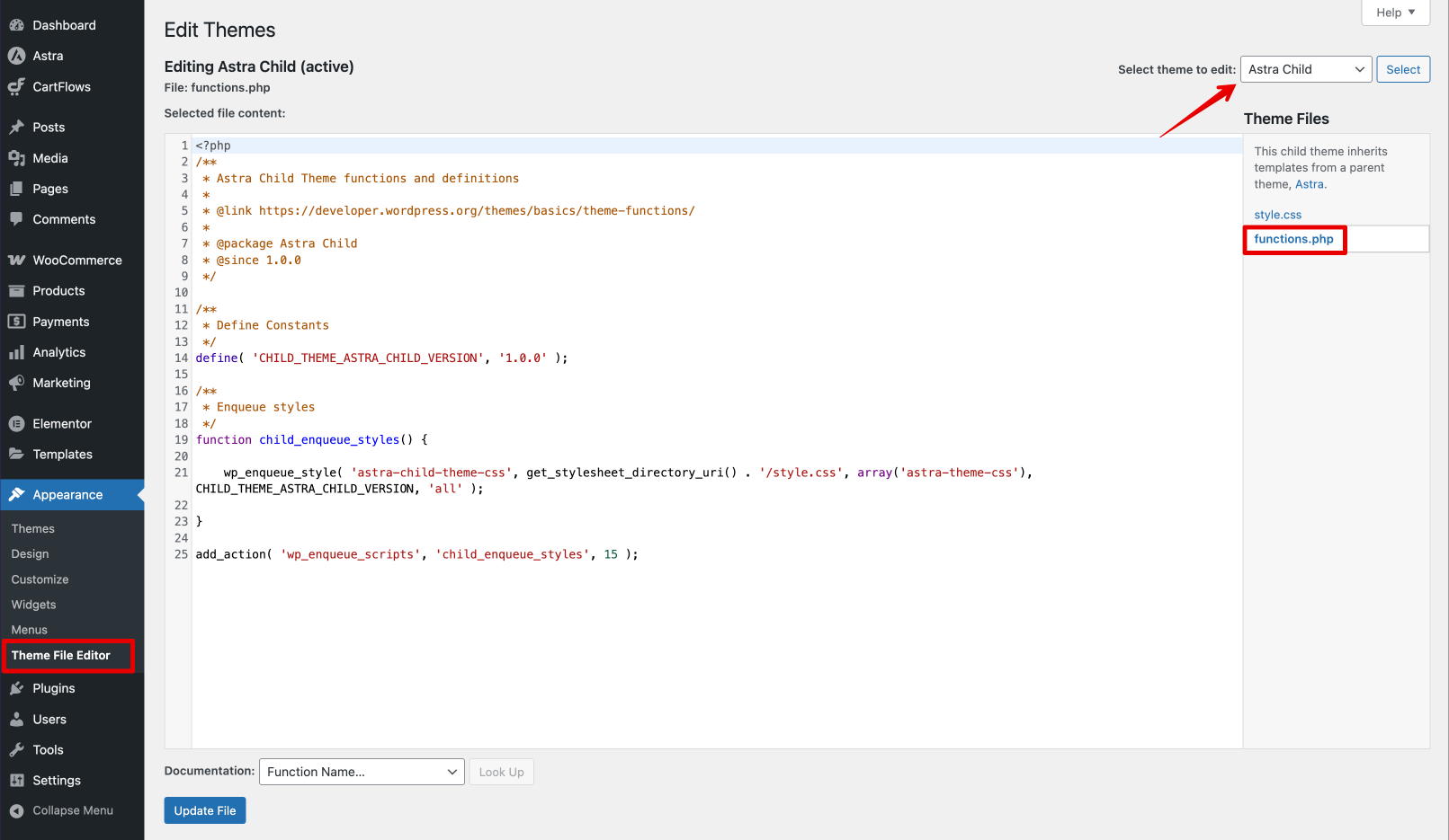 Child Theme's functions.php