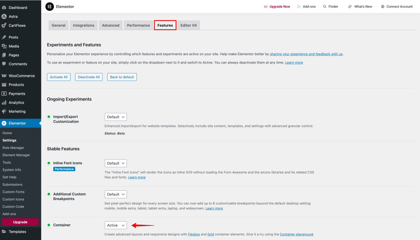 Elementor's Container Feature
