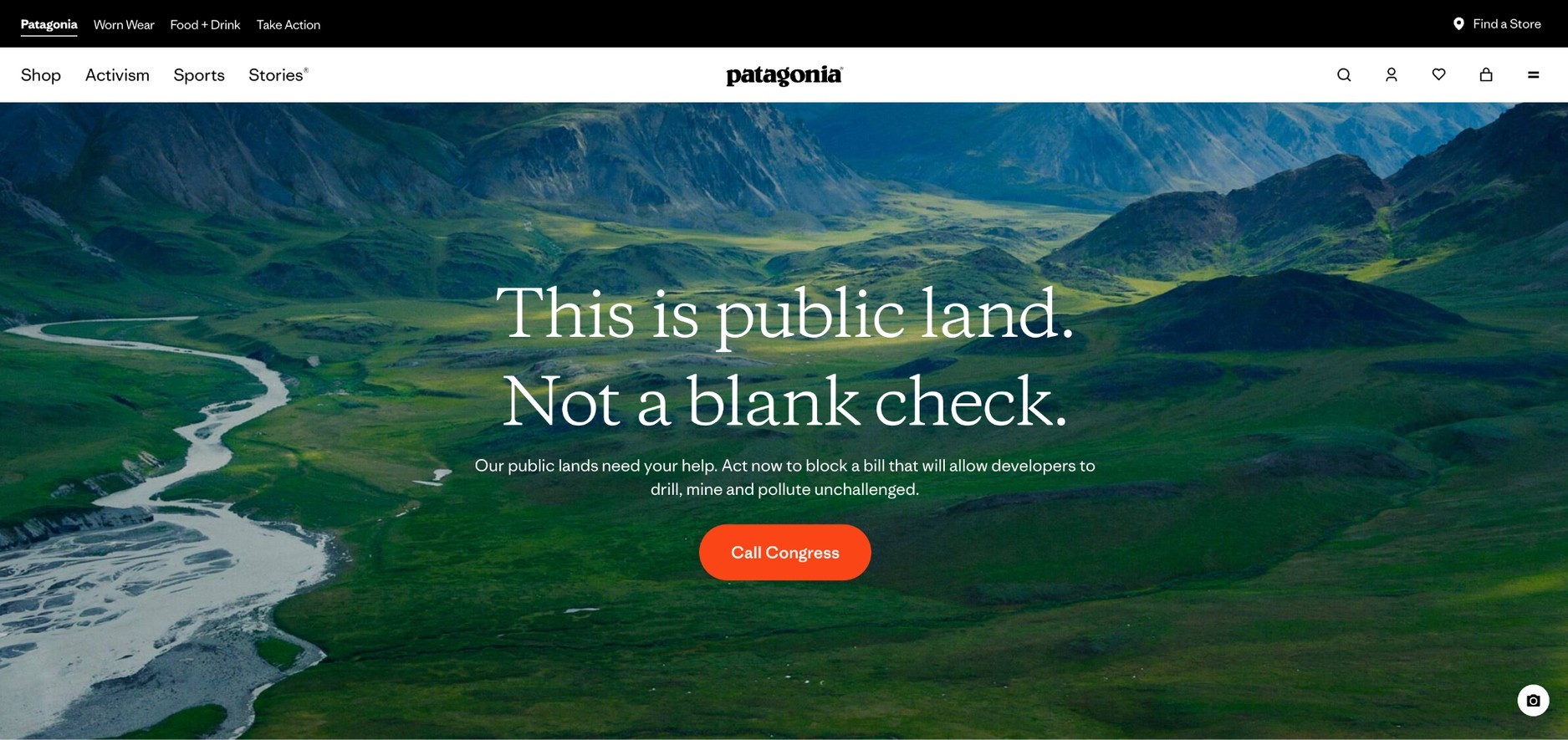 Activism based selling strategies of Patagonia.