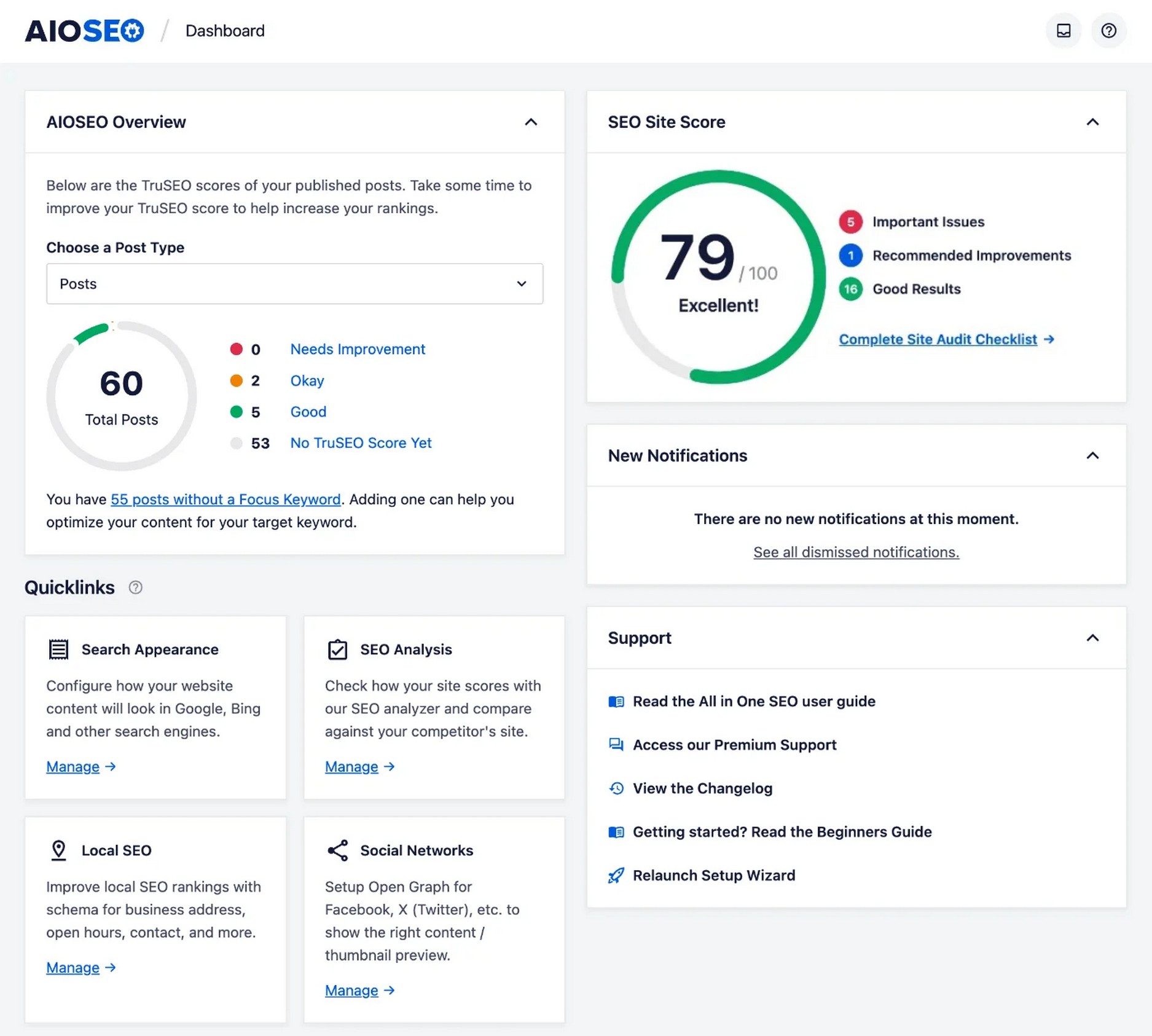 All in one SEO dashboard on WordPress.