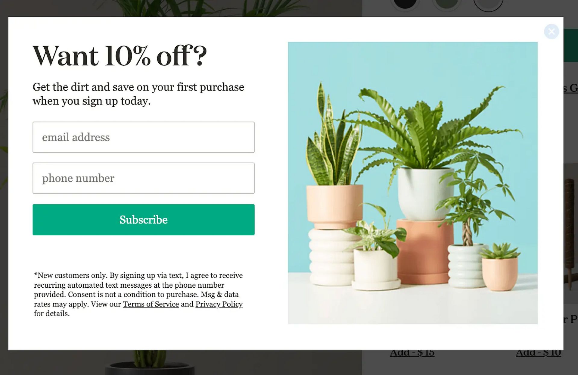 Exit intent popup example with discount and email capture.