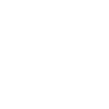 white logo white logo