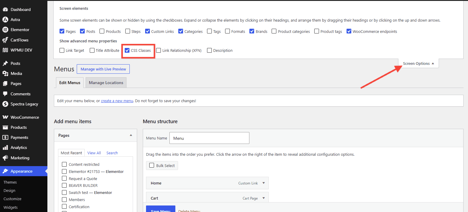 css classes options in wordpress menu settings
