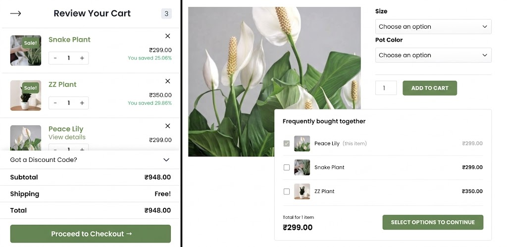 Checkout page with plants