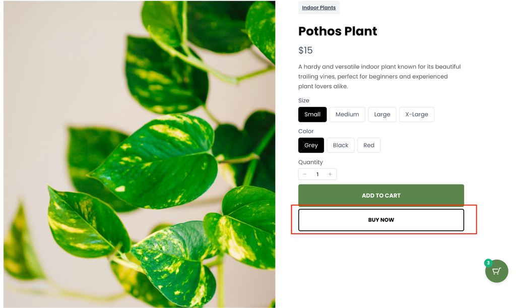 Pothos plant for sale