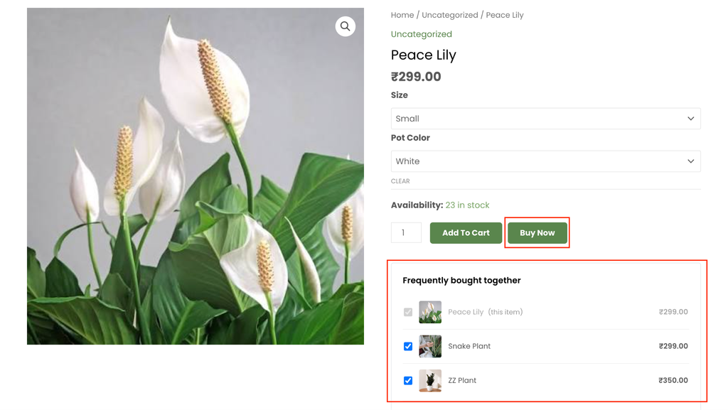 CartFlows Instant Checkout popup over a product page, with Frequently Bought Together extras.